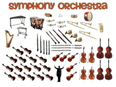 Instruments in an orchestra. Things To Know About Instruments in an orchestra. 